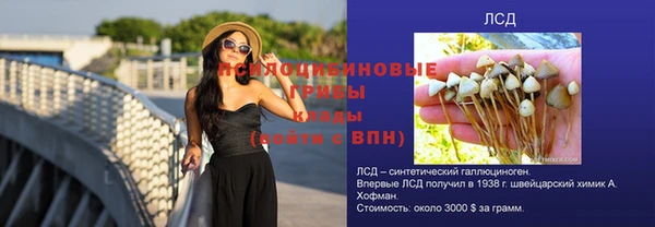 спиды Пестово