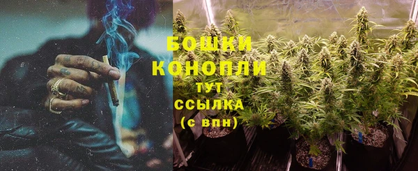 трава Переславль-Залесский