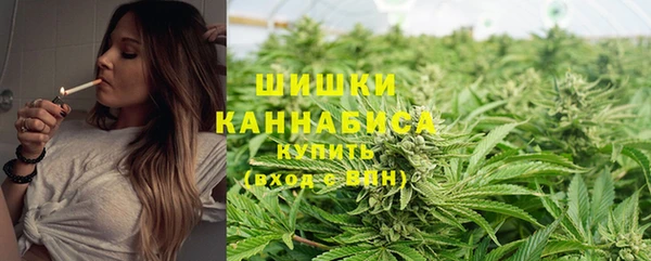 спиды Пестово