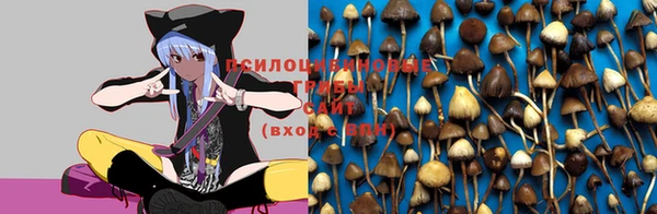 кокс Пересвет