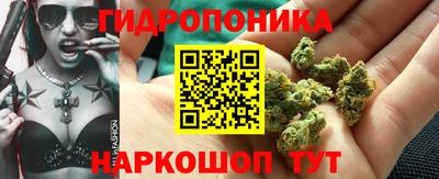 PSILOCYBIN Бийск