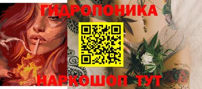 молекула духа Будённовск