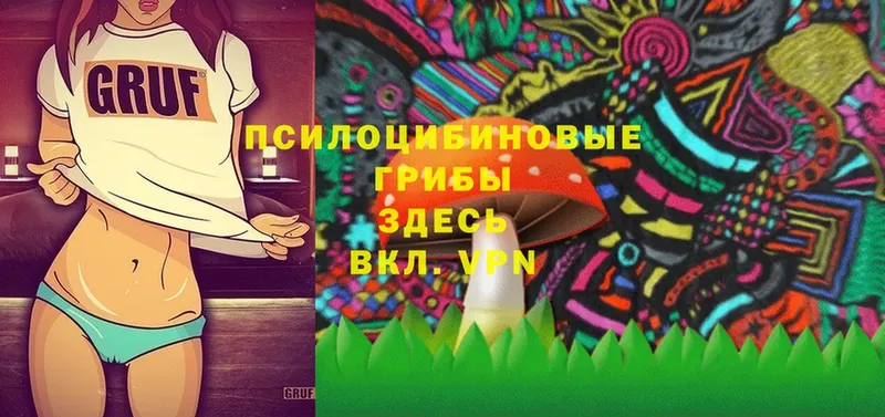 где можно купить наркотик  Сафоново  Галлюциногенные грибы Magic Shrooms 