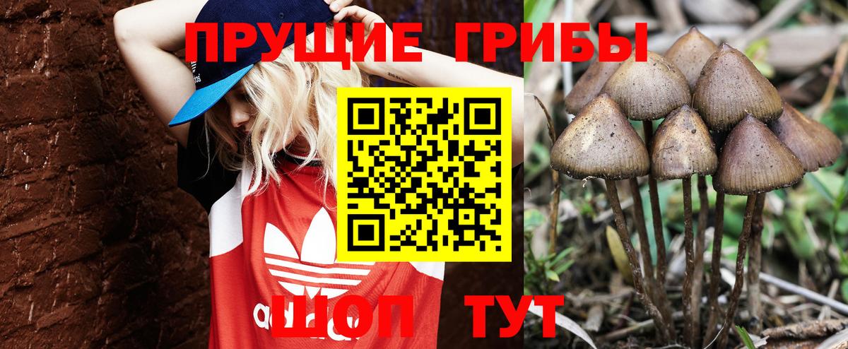 МЕФ  Меф  Канабис  Где продают наркотики?  Сафоново  Хэш  Вход с VPN  КОКАИН  АМФЕТАМИН 
