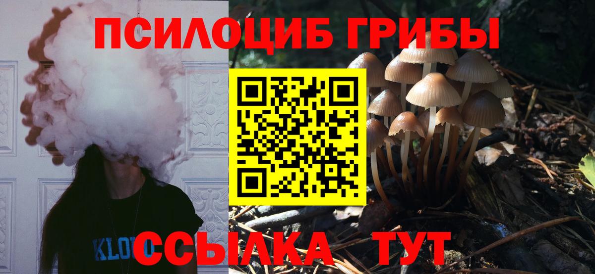 Галлюциногенные грибы Psilocybe  Галлюциногенные грибы мухоморы  Сафоново  Вход с VPN 