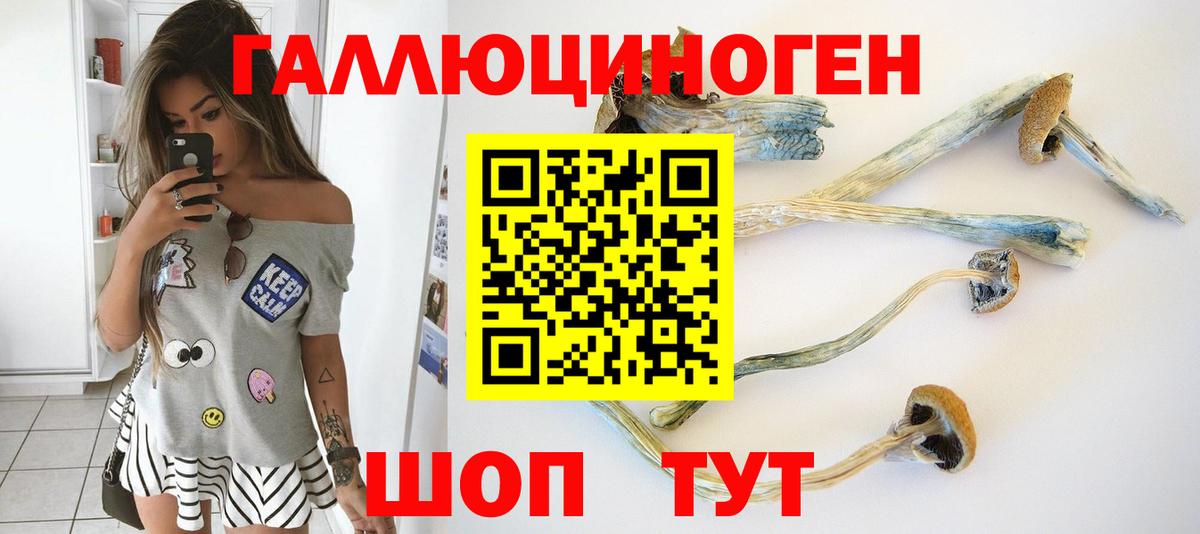 Галлюциногенные грибы прущие грибы Сафоново
